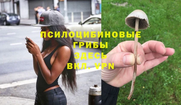 МДПВ Переславль-Залесский