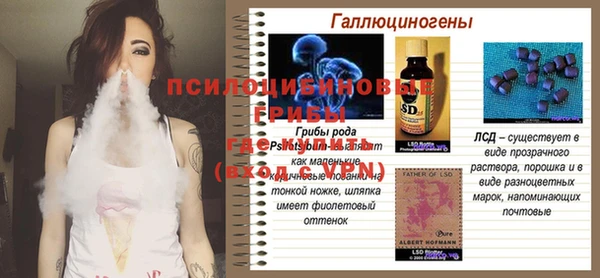 спиды Пестово