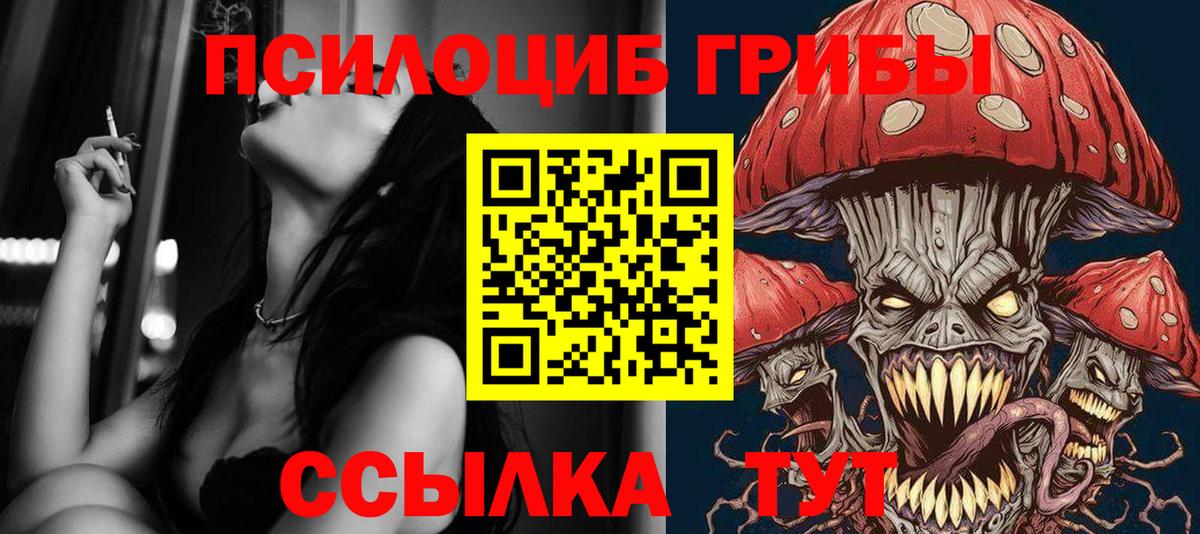Псилоцибиновые грибы мухоморы Советская Гавань