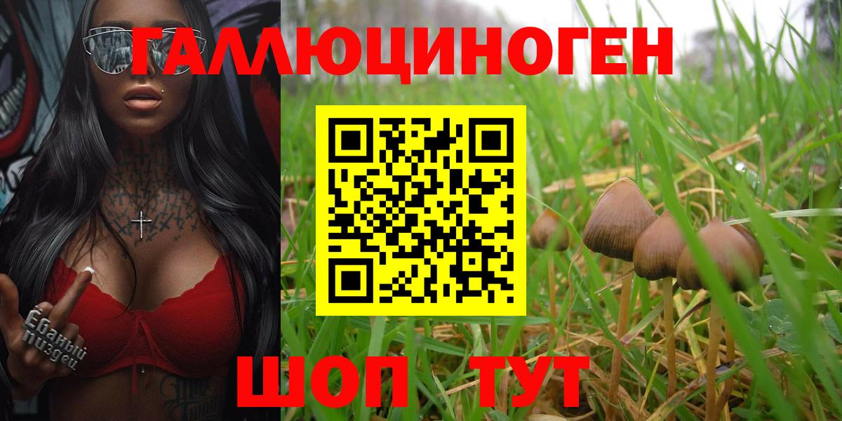 Псилоцибиновые грибы GOLDEN TEACHER  Галлюциногенные грибы мицелий  Советская Гавань  Вход с VPN 