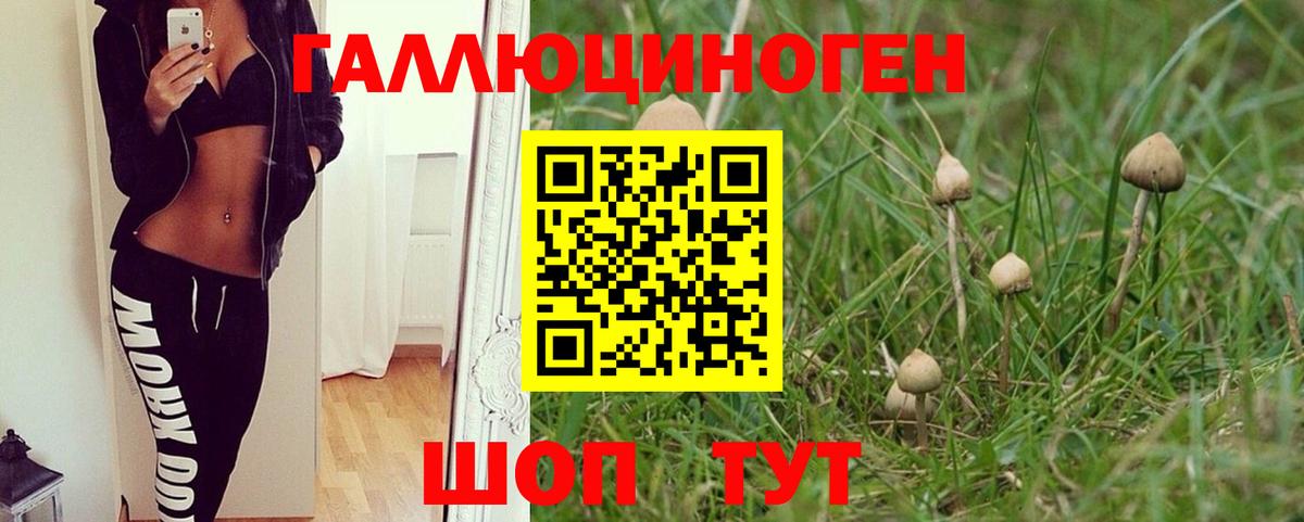 Галлюциногенные грибы Cubensis  Советская Гавань 